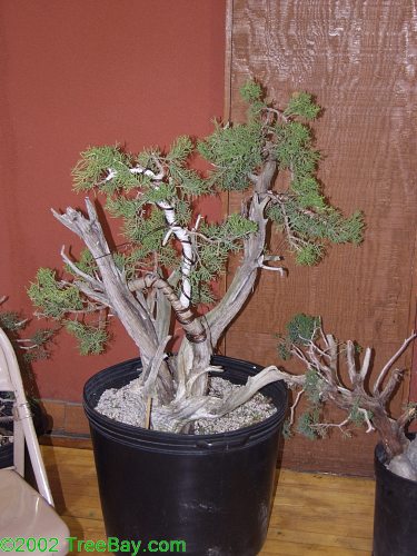 2002Betsuin 093.jpg